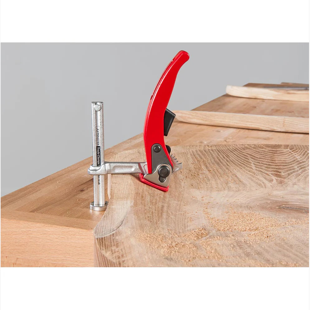UJK Tools 20mm Hold Down Ratchet Clamp 103566